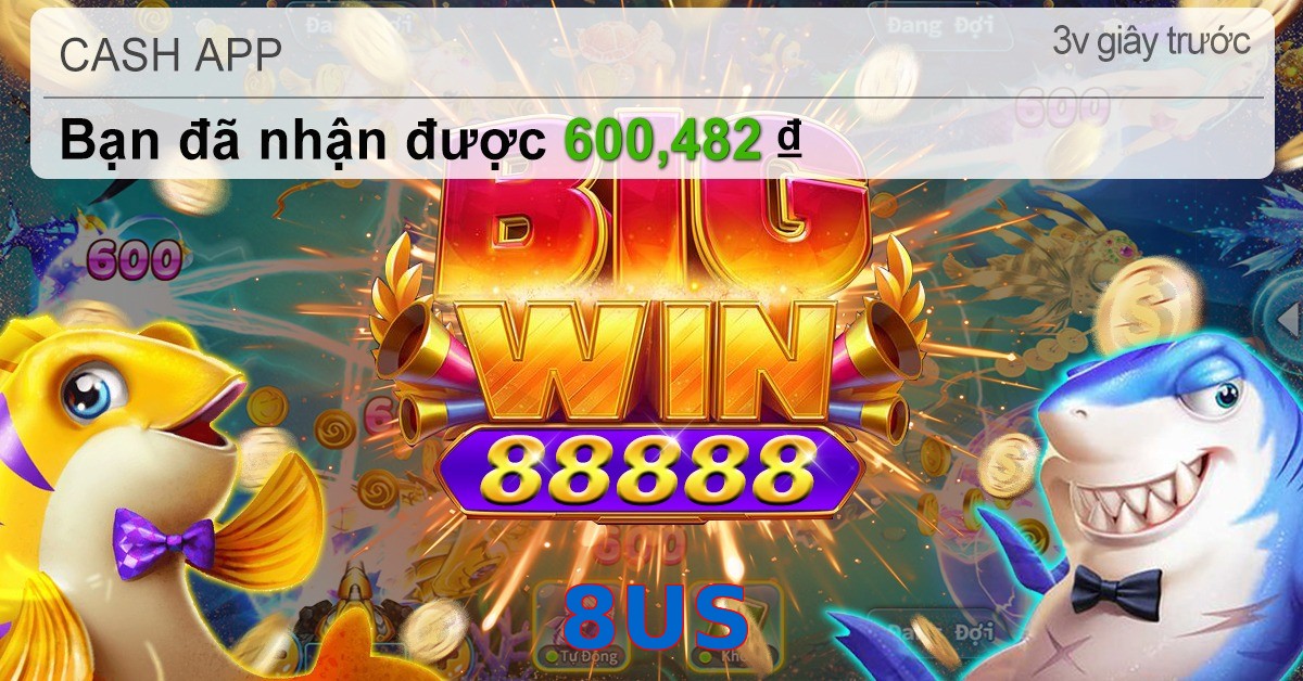 8US