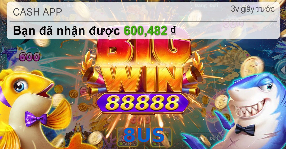 8US